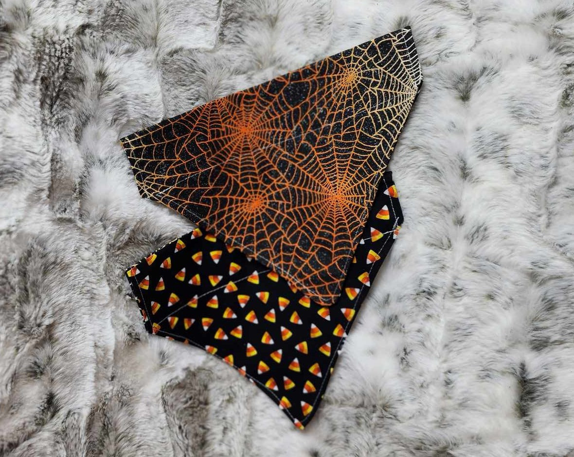 Over-The-Collar Reversible Pet Bandana - Spooky Collection