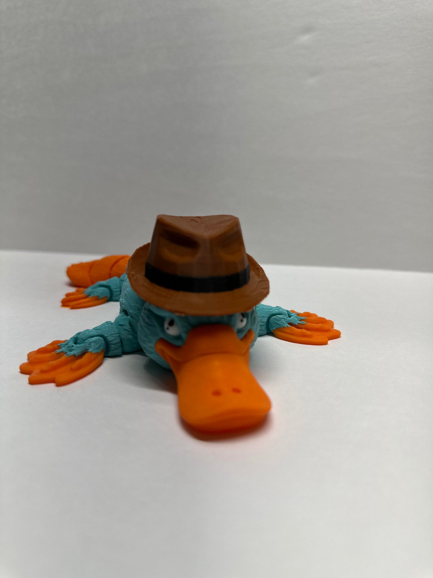 Platypus 3D Print