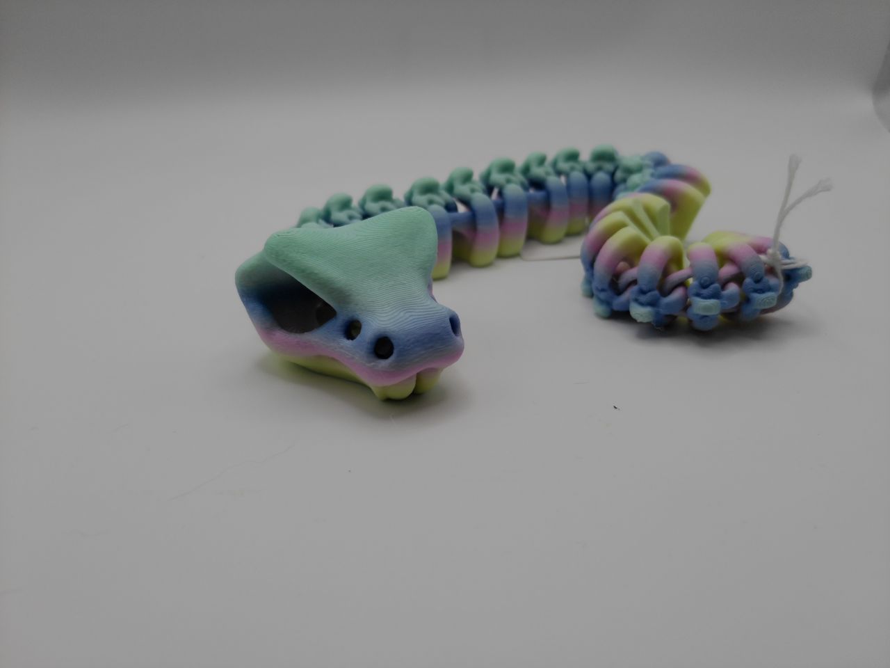 Skeleton Rattle Snake