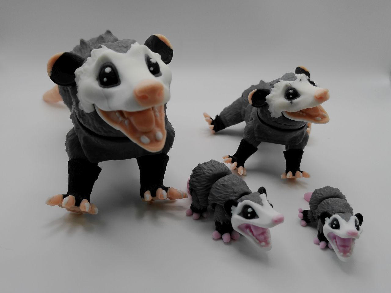 Opossum