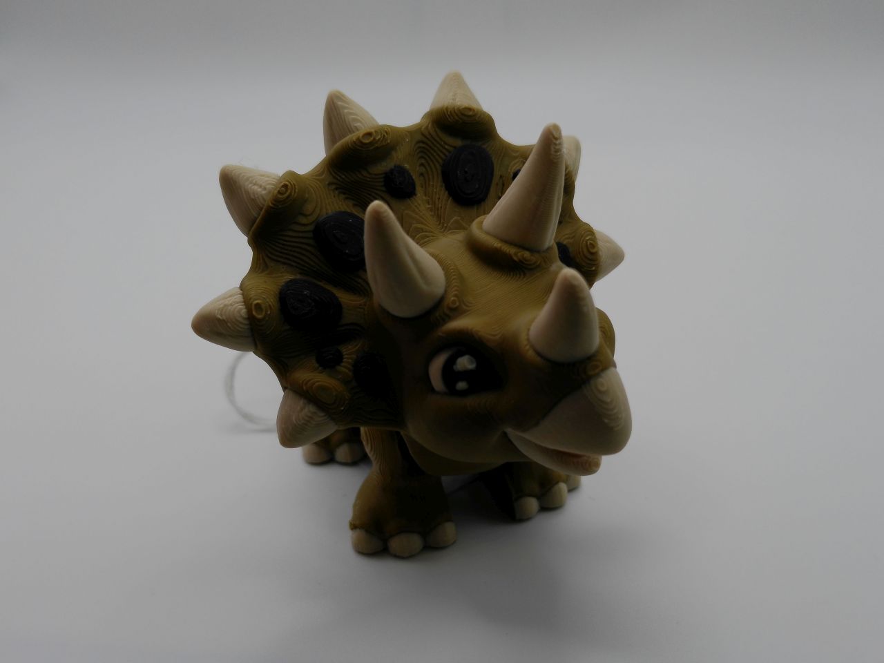 Triceratops