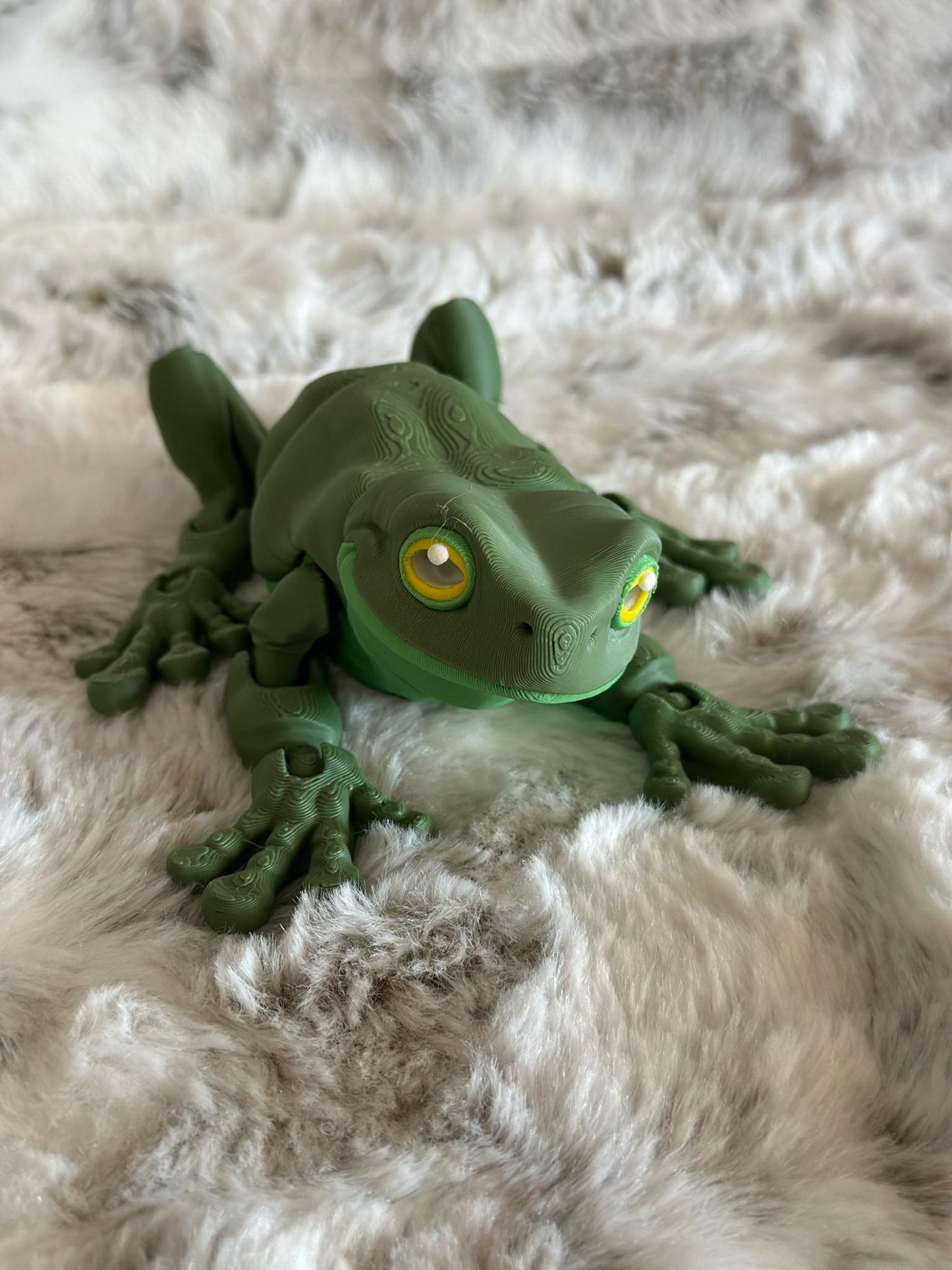 Tree Frog