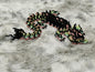 Rainbow Storm Dragon