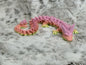 Crystal Dragon - 70% Scale