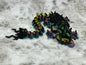 Storm Dragon