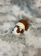 Guinea Pig