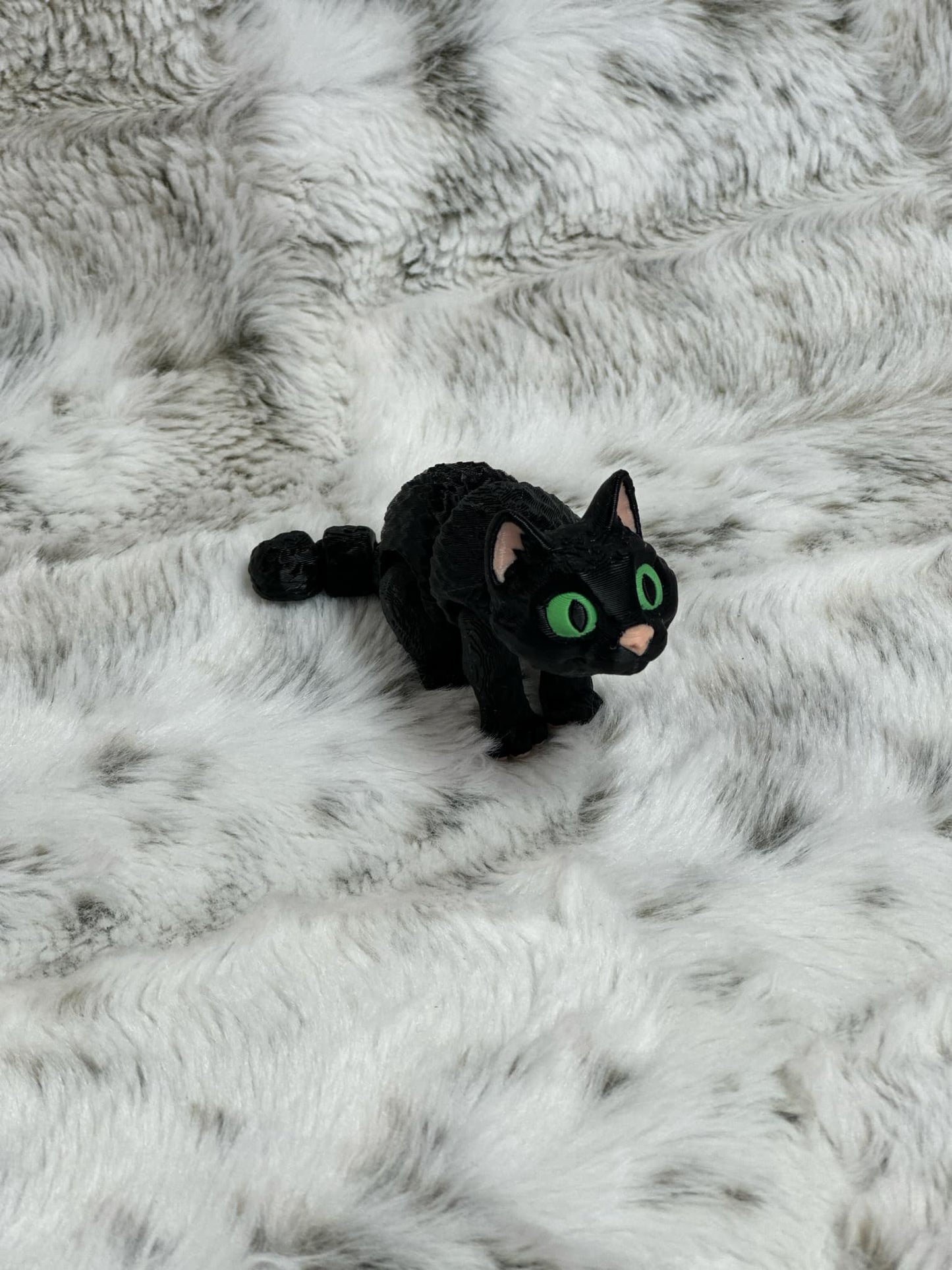 Spooky Cats