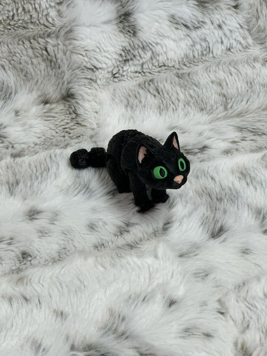 Spooky Cats