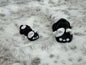 Cute Tabby Cats