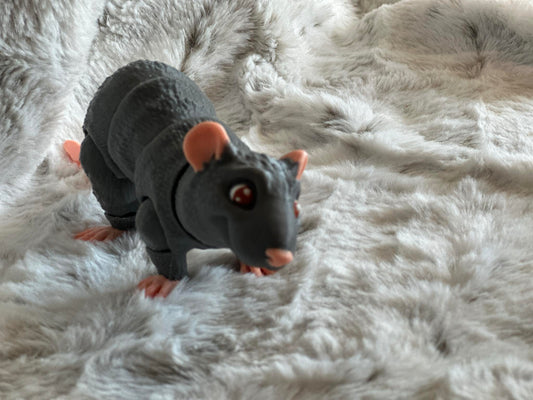 Rat Fidget