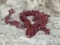 Crystal Dragon