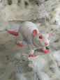 Rat Fidget