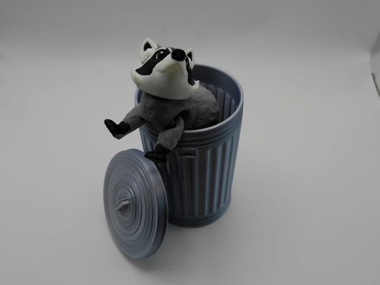 Trash Can Racoon