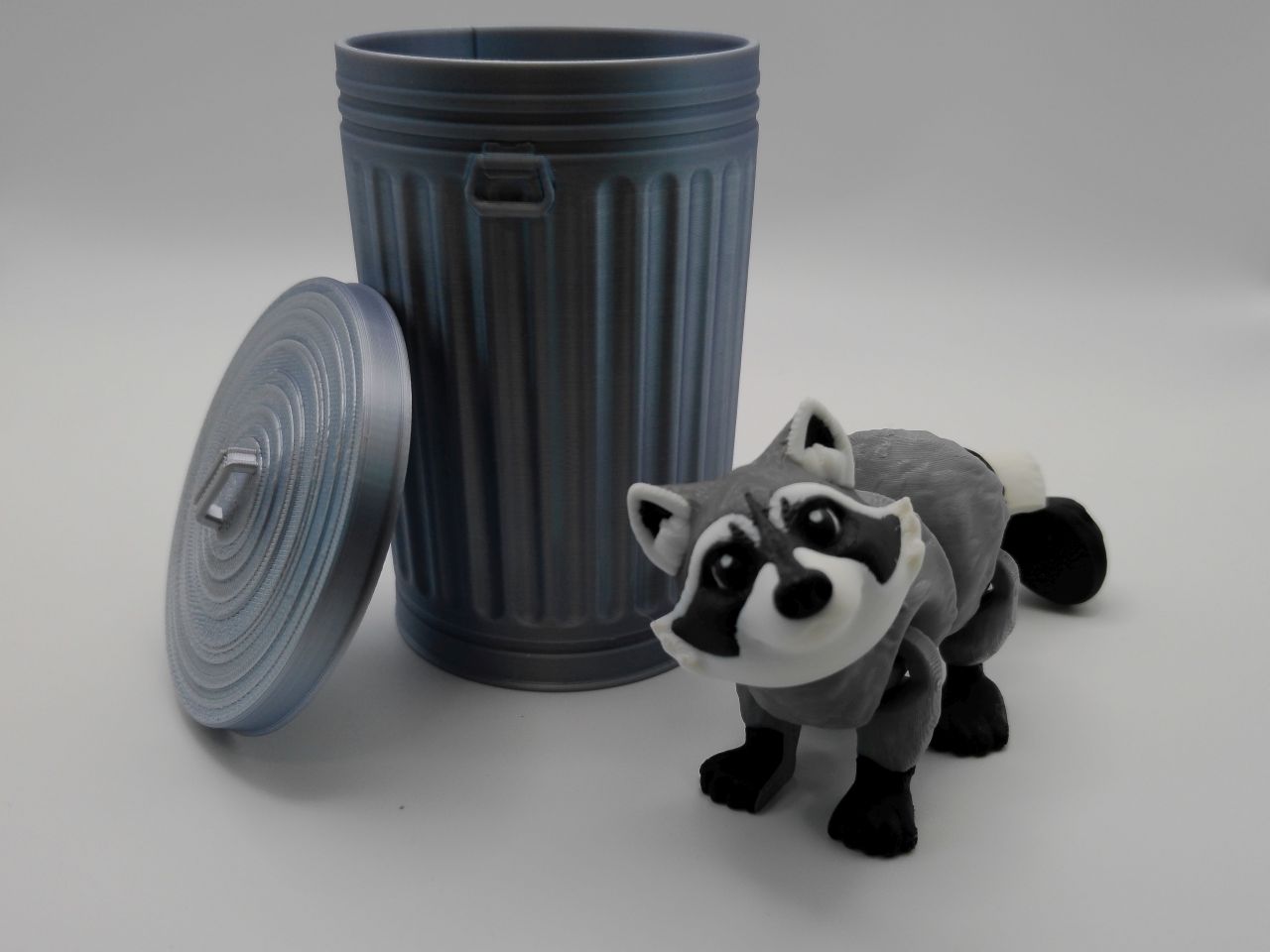 Trash Can Racoon