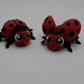Lady Bug