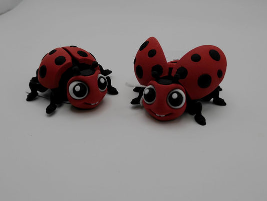 Lady Bug