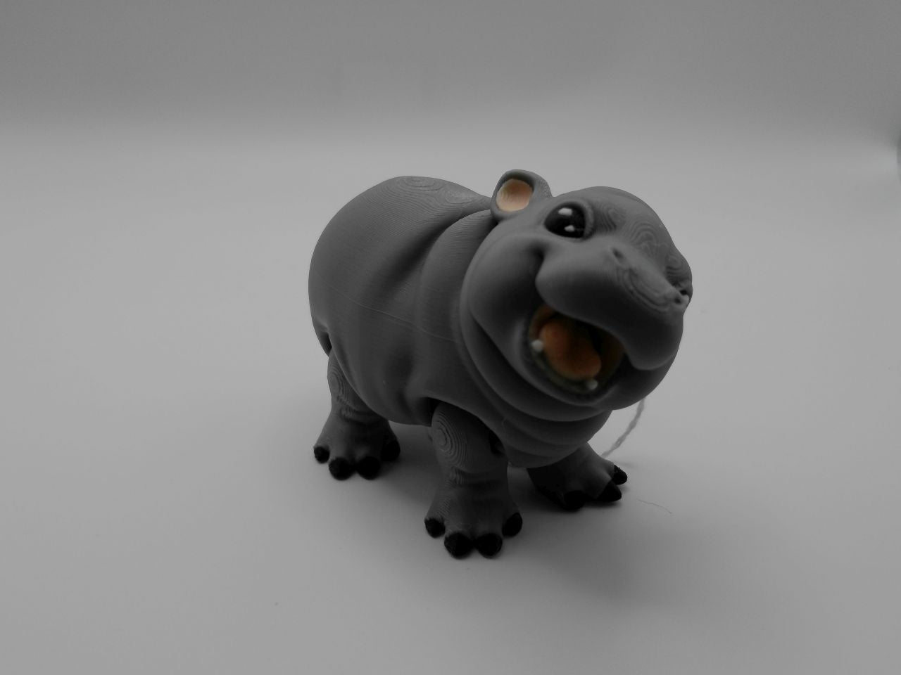 Hippo