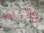 Cherry Blossom Dragon