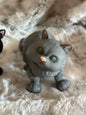 Chunk Cat Fidgets