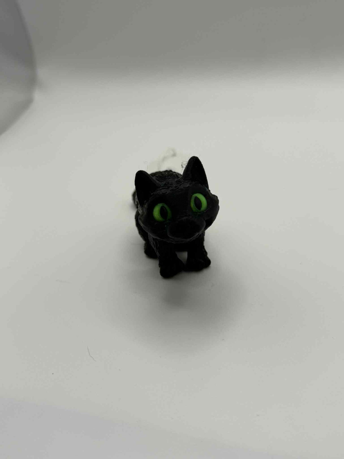 Black Cat Mini
