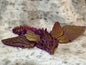 Butterfly Dragon
