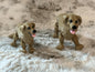 Golden Retriever Dog Articulating Figure