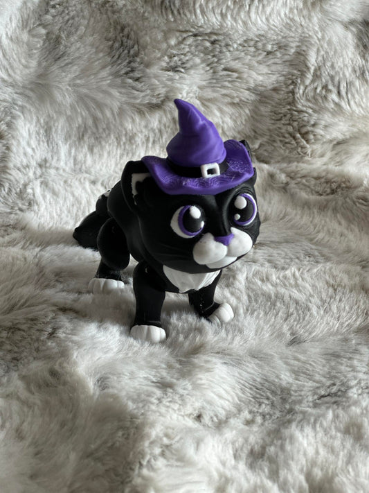 Witchy Kitty