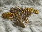 Large Gemstone Dragon