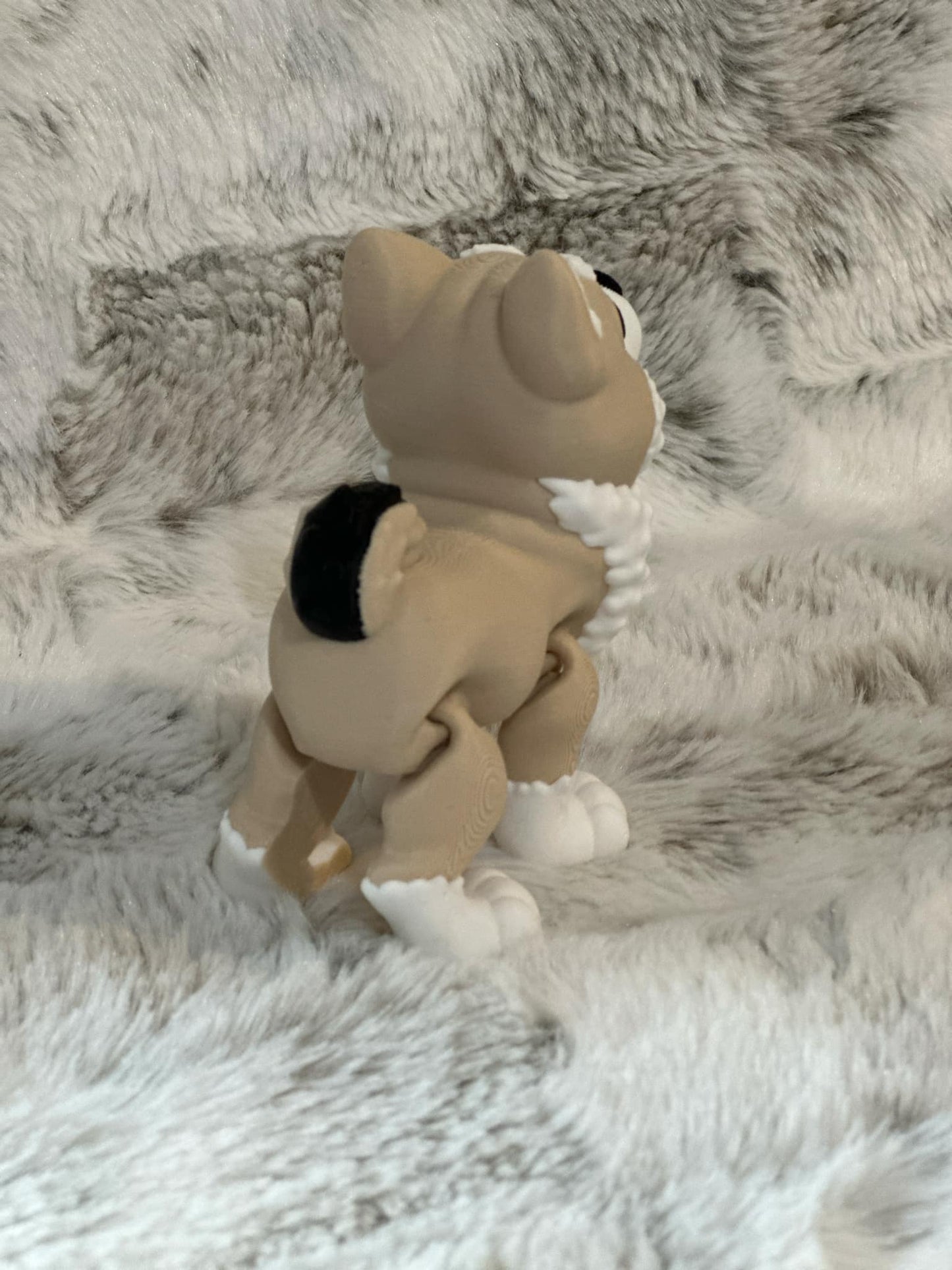 Shiba Inu Dog Flexy