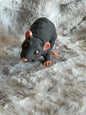 Rat Fidget
